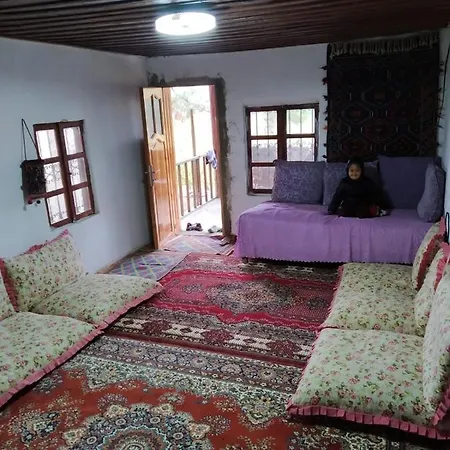 Farm House In Holiday home *
